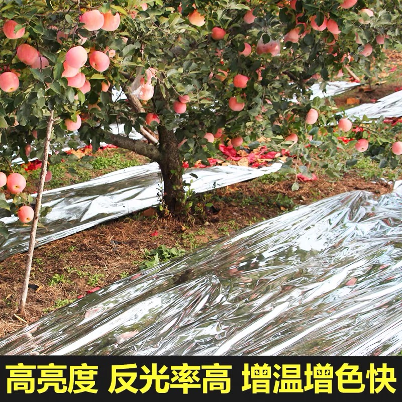 德州市黑白养殖膜果树反光膜 - 推荐